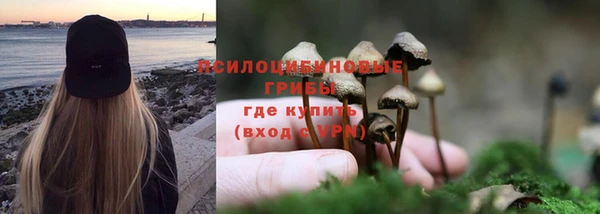 хмурый Волоколамск