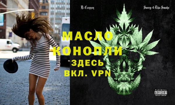 стаф Бородино