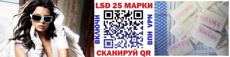 где найти наркотики  kraken ссылки  Марки NBOMe 1500мкг  Дмитров 